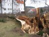 Ráno již bez kocoura