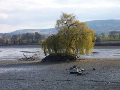 Ostrůvek